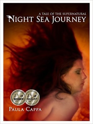 cover image of Night Sea Journey